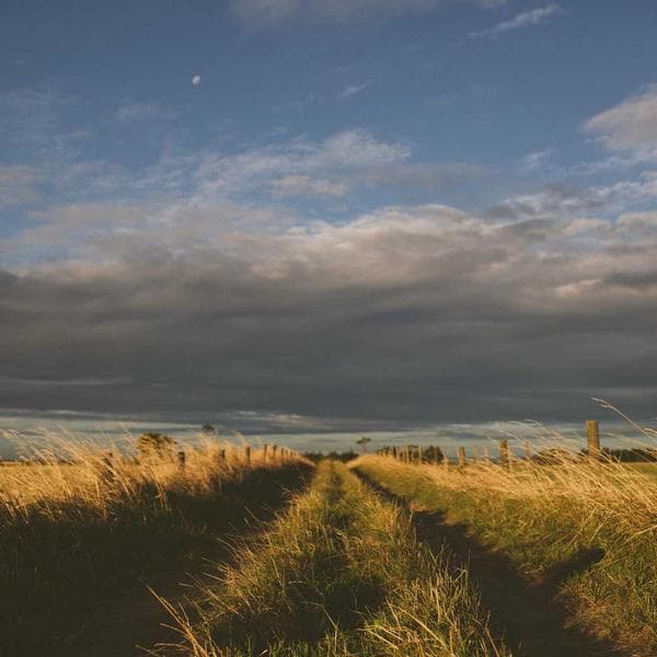 Crisp Rust 3-Piece Set (0-6mo)