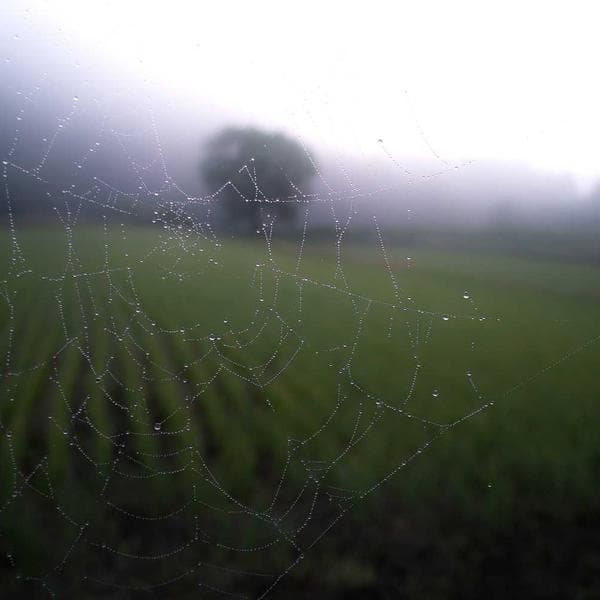 Vintage Peach Vest (6-12mo)