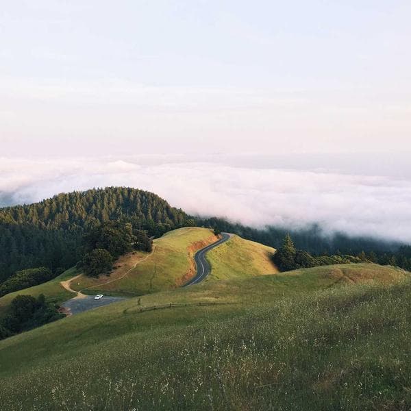 Comfy Sand T-Shirt (2-3y)