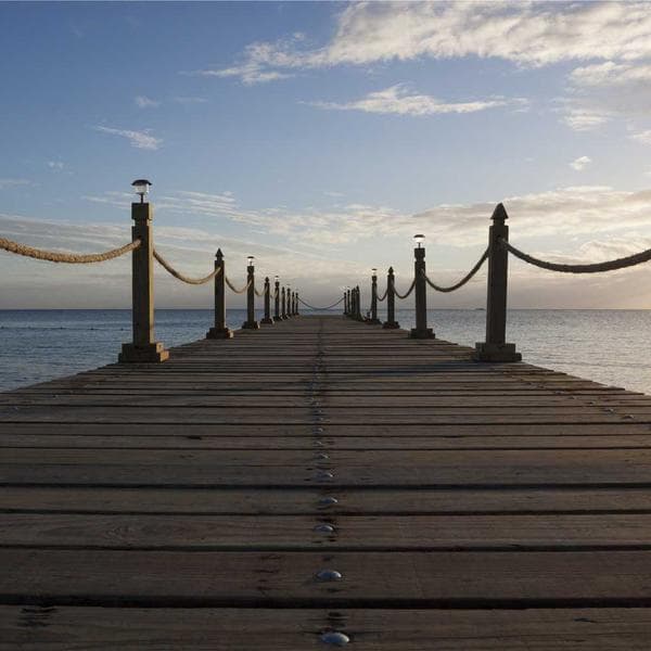 Bright Sand Shorts (2-3y)