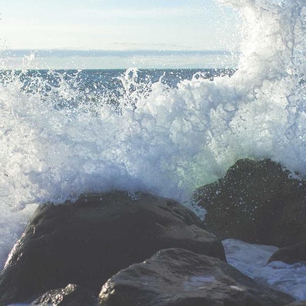 Crisp Berry Wrap Dress (3-4y)