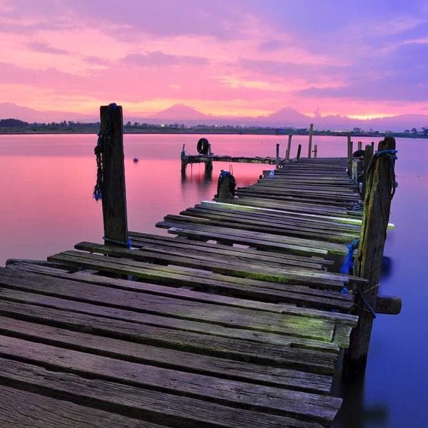 Classic Sage Vest (4-5y)