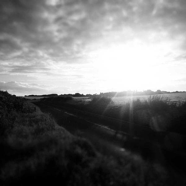 Premium Blush Socks (5-6y)