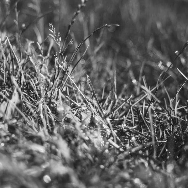 Bright Charcoal Vest (6-7y)