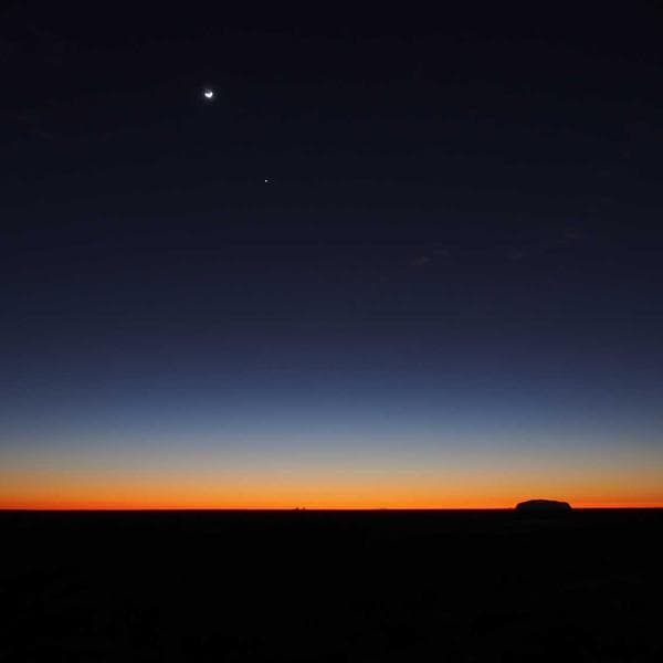 Breezy Mustard T-Shirt (6-7y)