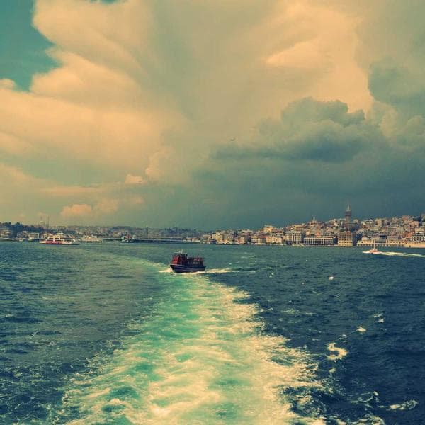 Breezy Mustard 3-Piece Set (6-7y)