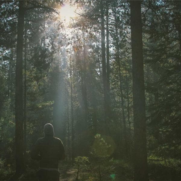 Crisp Olive T-Shirt (6-7y)