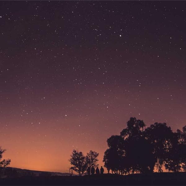 Vintage Lilac Sleep Onesie (7-8y)