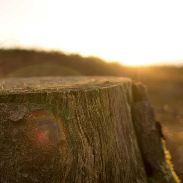 Breezy Slate Pajamas (9-10y)