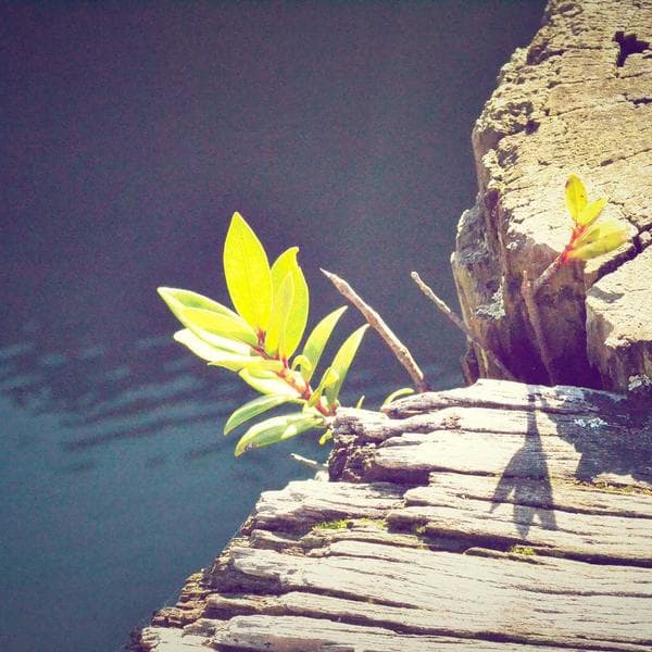 Snug Powder Blue T-Shirt (0-6mo)