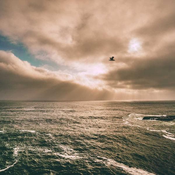 Crisp Powder Blue Vest (0-6mo)