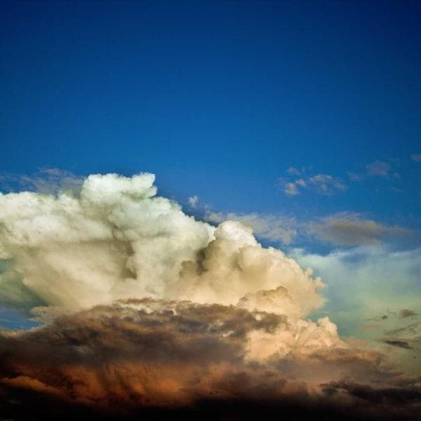 Premium Sage Hairband (1-2y)