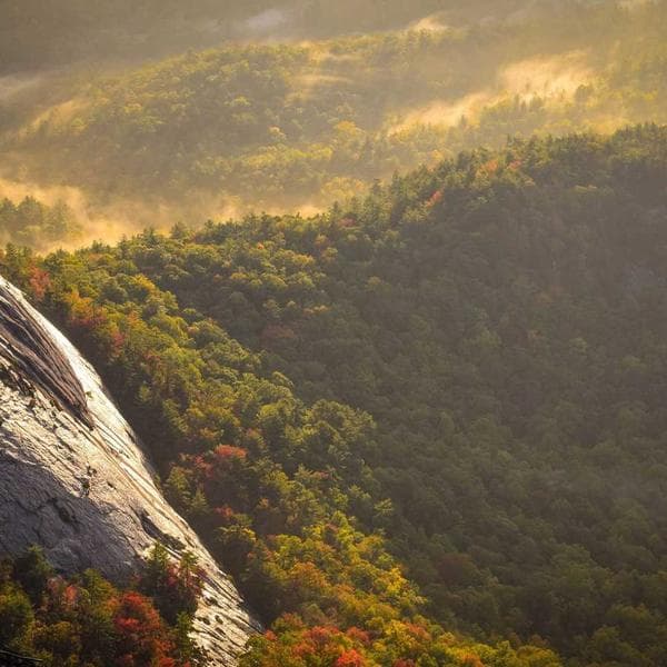 Premium Sage T-Shirt (1-2y)