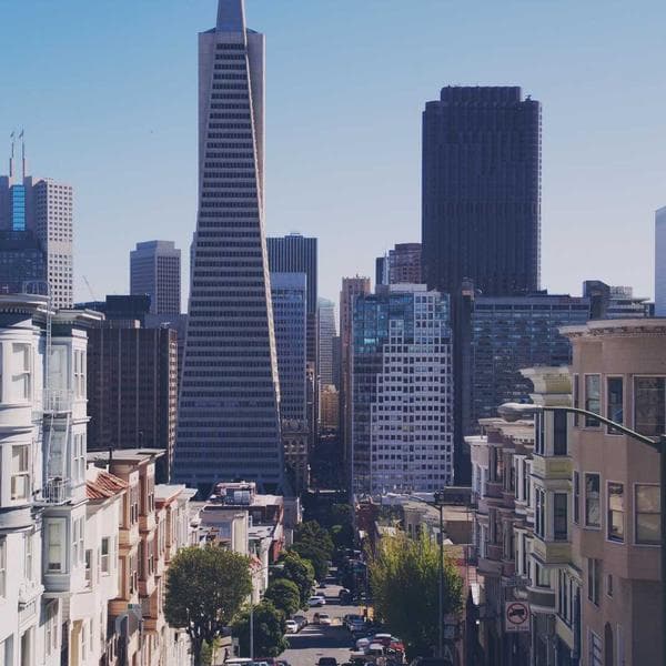 Organic Sage Shorts (1-2y)