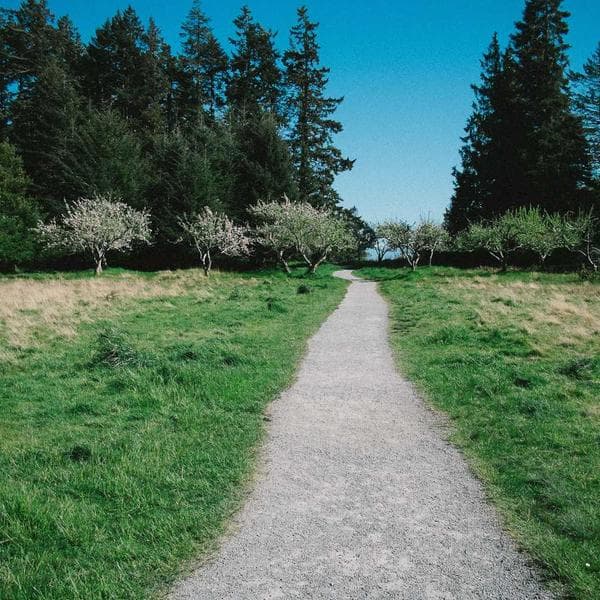 Breezy Blush Shorts (2-3y)