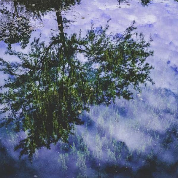 Snug Blush Outfit Bundle (2-3y)