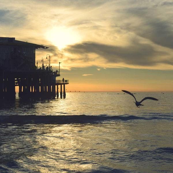 Crisp Blush Smock Dress (2-3y)