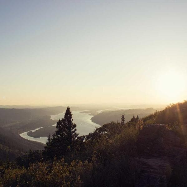 Cosy Mustard Beanie (3-4y)