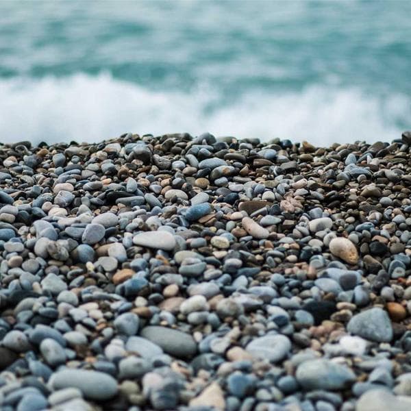 Cute Olive A-Line Dress (4-5y)