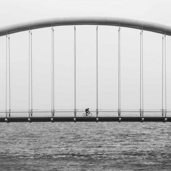 Cute Lilac Bib (4-5y)