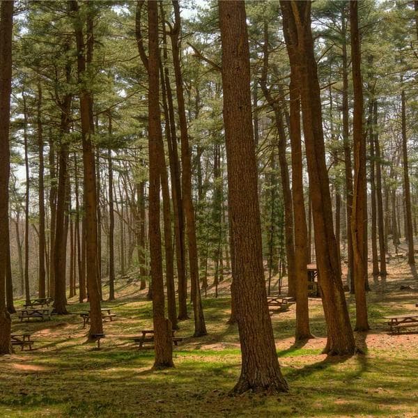 Premium Lilac Sleep Onesie (4-5y)