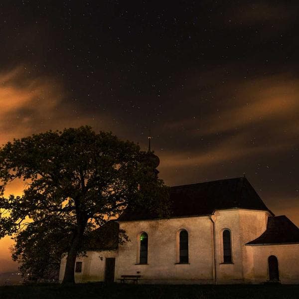 Bright Slate Shorts (5-6y)