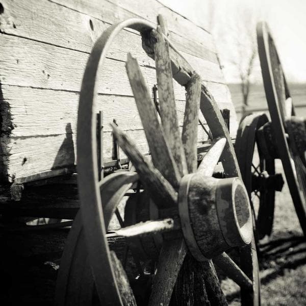 Snug Mint T-Shirt (6-7y)