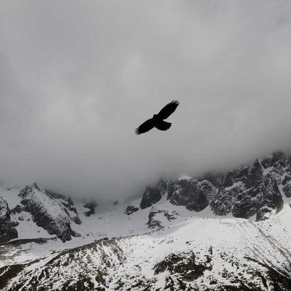 Playful Sand T-Shirt (7-8y)