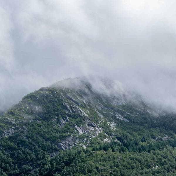 Organic Berry T-Shirt (8-9y)