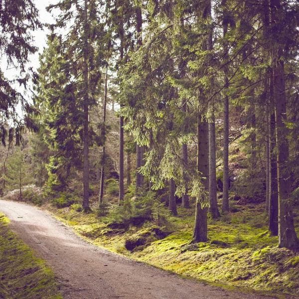 Bright Cream Outfit Bundle (8-9y)