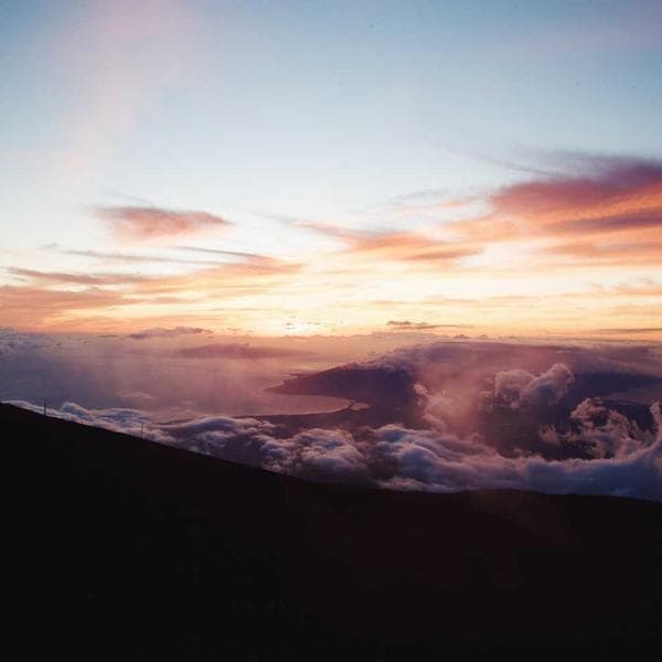 Soft Navy Shorts (9-10y)
