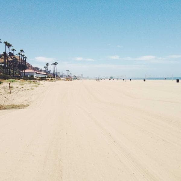 Vintage Blush Shorts (0-6mo)