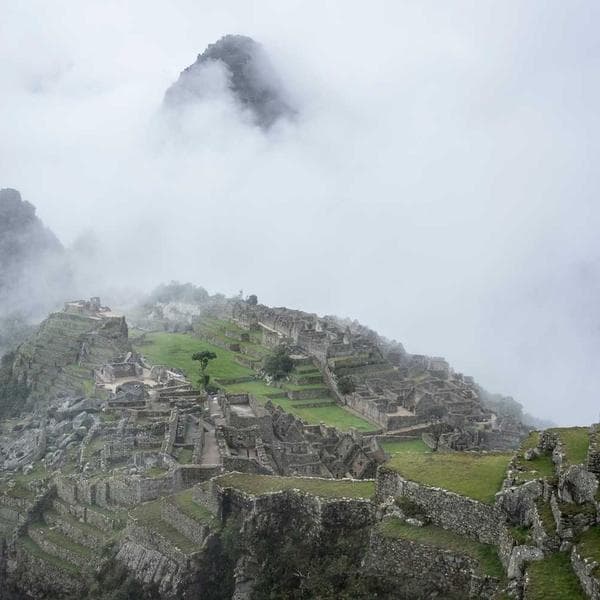 Playful Charcoal Shorts (0-6mo)