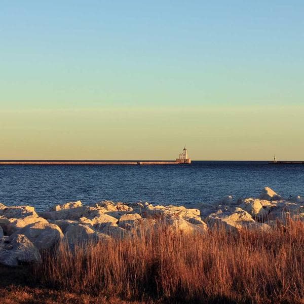 Organic Mustard Wrap Dress (6-12mo)