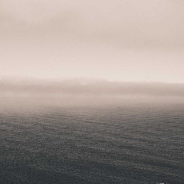 Comfy Olive Outfit Bundle (1-2y)