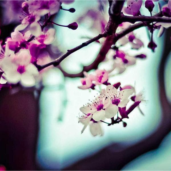 Crisp Rust T-Shirt (2-3y)