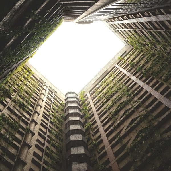 Modern Sage Shorts (0-6mo)