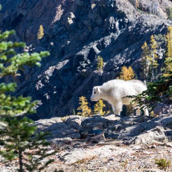 Classic Mint Bathrobe (3-4y)