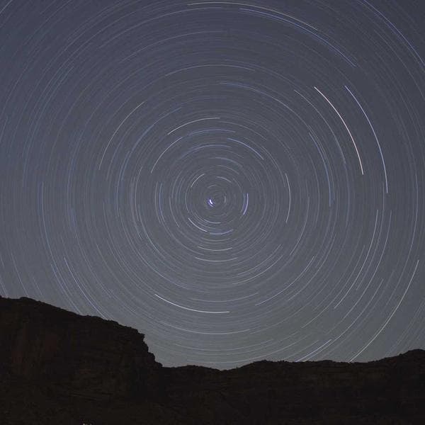 Snug Berry T-Shirt (5-6y)