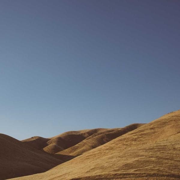 Classic Sage Vest (6-7y)