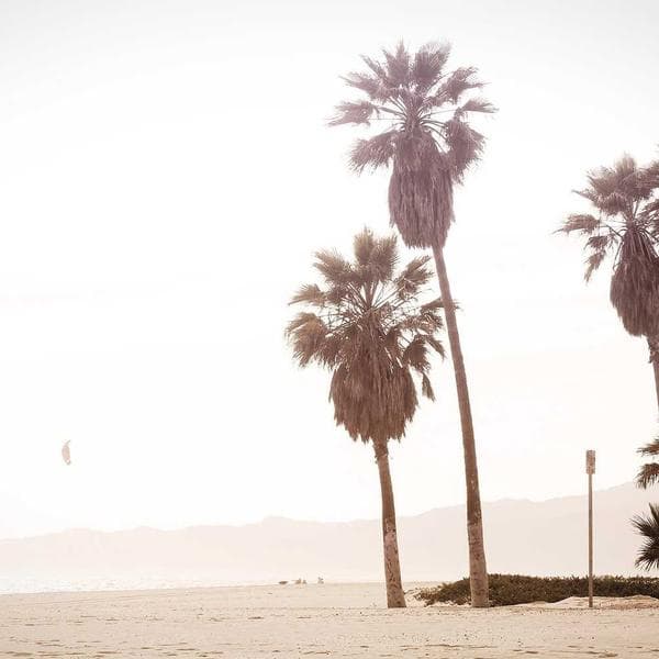 Breezy Mustard T-Shirt (8-9y)