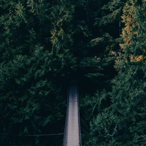 Soft Olive Pajamas (9-10y)